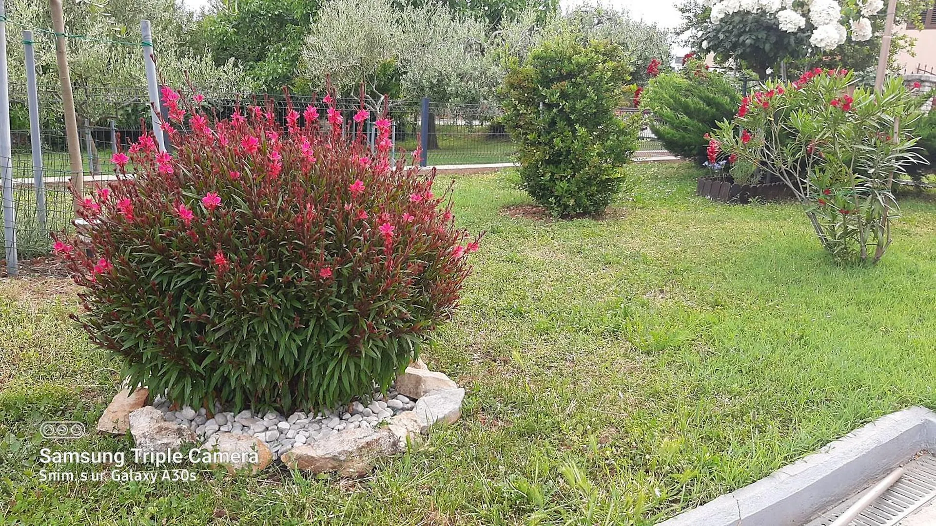 Apartment Apartman Gulici Porec