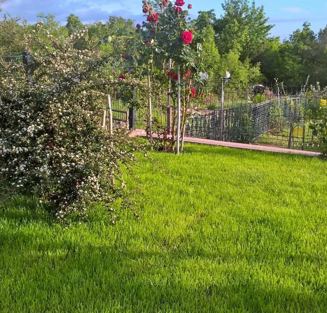 Apartman Gulici Porec Apartment